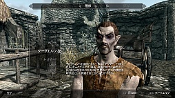 画像ギャラリー No.013のサムネイル画像 / 「The Elder Scrolls V: Skyrim」のレビューを掲載。やりこみ要素満載のハイファンタジーながら,初心者への優しさも忘れない,死角なしの大本命RPG
