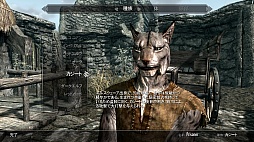 画像ギャラリー No.014のサムネイル画像 / 「The Elder Scrolls V: Skyrim」のレビューを掲載。やりこみ要素満載のハイファンタジーながら,初心者への優しさも忘れない,死角なしの大本命RPG