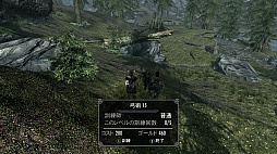 画像ギャラリー No.025のサムネイル画像 / 「The Elder Scrolls V: Skyrim」のレビューを掲載。やりこみ要素満載のハイファンタジーながら,初心者への優しさも忘れない,死角なしの大本命RPG