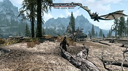 画像ギャラリー No.044のサムネイル画像 / 「The Elder Scrolls V: Skyrim」のレビューを掲載。やりこみ要素満載のハイファンタジーながら,初心者への優しさも忘れない,死角なしの大本命RPG