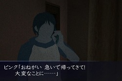 ꡼ No.013Υͥ / ȤߡɤΤ褦δۥ顼ࡤ֥˥ΥפҲ𤹤ץ쥤ࡼӡǺ