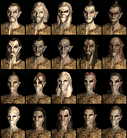 ꡼ No.007Υͥ / The Elder Scrolls V: SkyrimץǥθǼºݤ230ʬۤɿäƤΤǡäץ쥤ݡȤϤ