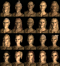 ꡼ No.008Υͥ / The Elder Scrolls V: SkyrimץǥθǼºݤ230ʬۤɿäƤΤǡäץ쥤ݡȤϤ