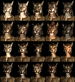 ꡼ No.010Υͥ / The Elder Scrolls V: SkyrimץǥθǼºݤ230ʬۤɿäƤΤǡäץ쥤ݡȤϤ