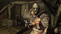 ꡼ No.015Υͥ / The Elder Scrolls V: SkyrimץǥθǼºݤ230ʬۤɿäƤΤǡäץ쥤ݡȤϤ