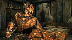 ꡼ No.016Υͥ / The Elder Scrolls V: SkyrimץǥθǼºݤ230ʬۤɿäƤΤǡäץ쥤ݡȤϤ