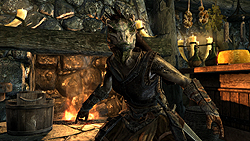 ꡼ No.018Υͥ / The Elder Scrolls V: SkyrimץǥθǼºݤ230ʬۤɿäƤΤǡäץ쥤ݡȤϤ