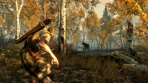 ꡼ No.038Υͥ / The Elder Scrolls V: SkyrimץǥθǼºݤ230ʬۤɿäƤΤǡäץ쥤ݡȤϤ