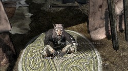 ꡼ No.010Υͥ / ϤѤʤŪʴ٤ؤRPGThe Elder Scrolls V: SkyrimפҲ𤹤ץ쥤ࡼӡǺ