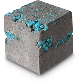 ꡼ No.020Υͥ / Minecraftץ֥åŨ֤ΥХܥʤɤо졣LUSHȤΥܾʤ815缡ȯ
