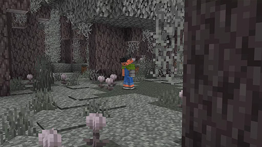 画像ギャラリー No.001のサムネイル画像 / 「Minecraft」,アップデート「The Garden Awakens」を配信開始。新しいバイオーム「Pale Garden」が登場