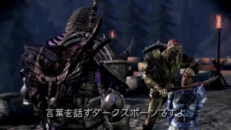 ꡼ No.003Υͥ / ѥRPG͵γĥѥåDragon Age: Origins - AwakeningפΥץ⡼ࡼӡ