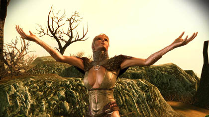 ꡼ No.004Υͥ / ѥDragon Age: Origins - Awakeningפо줹뿷ʥѡƥС⡤ǤʤʥĤФ