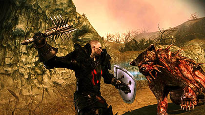 ꡼ No.011Υͥ / ѥDragon Age: Origins - Awakeningפо줹뿷ʥѡƥС⡤ǤʤʥĤФ