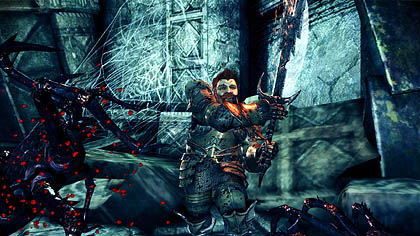 ꡼ No.012Υͥ / ѥDragon Age: Origins - Awakeningפо줹뿷ʥѡƥС⡤ǤʤʥĤФ