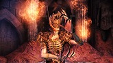 ꡼ No.002Υͥ / Dragon Age: Origins - AwakeningסԤĤΤϤäѤ꿷Υ꡼㡼ȼΰջ֤äݡо