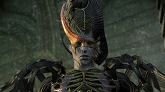 ꡼ No.003Υͥ / Dragon Age: Origins - AwakeningסԤĤΤϤäѤ꿷Υ꡼㡼ȼΰջ֤äݡо