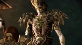 ꡼ No.004Υͥ / Dragon Age: Origins - AwakeningסԤĤΤϤäѤ꿷Υ꡼㡼ȼΰջ֤äݡо