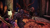 ꡼ No.008Υͥ / Dragon Age: Origins - AwakeningסԤĤΤϤäѤ꿷Υ꡼㡼ȼΰջ֤äݡо