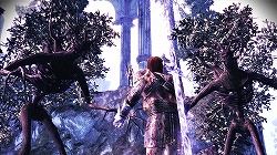 ꡼ No.012Υͥ / ѤˤʤäݡȤο襤ĩᡣʤ륭ڤĥѥåDragon Age: Origins - Awakeningץץå
