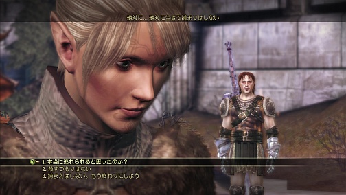 ꡼ No.020Υͥ / ѤˤʤäݡȤο襤ĩᡣʤ륭ڤĥѥåDragon Age: Origins - Awakeningץץå