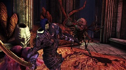 ꡼ No.033Υͥ / ѤˤʤäݡȤο襤ĩᡣʤ륭ڤĥѥåDragon Age: Origins - Awakeningץץå