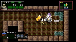 画像ギャラリー No.010のサムネイル画像 / 日本一ソフトウェアのアクションRPG「クラシックダンジョンX2」が2011年3月24日に発売。新機能が搭載され,やりこみ要素も“2倍”になって,前作より安いだと