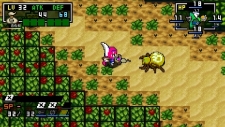 画像ギャラリー No.078のサムネイル画像 / 日本一ソフトウェアのアクションRPG「クラシックダンジョンX2」が2011年3月24日に発売。新機能が搭載され,やりこみ要素も“2倍”になって,前作より安いだと