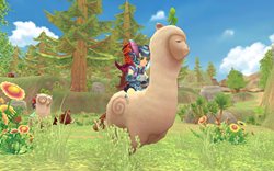 ꡼ No.011Υͥ / Finding Neverland Online --פΥ饯ᥤ󥰥ƥࡤ֥ѥפͻҤʤɤʬࡼӡ4GamerUp