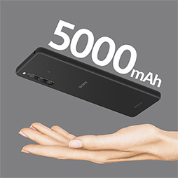 ꡼ No.005Υͥ / SIMե꡼ǡXperia 10 IVפͽդϤޤ롣ꥢǥȤۤƱΥڥåǲʤ61000