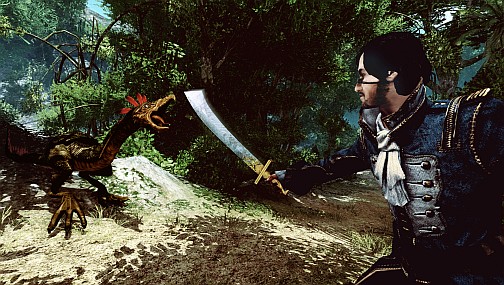 ꡼ No.002Υͥ / GDC 2011ϥɥĤ̾Piranha Bytesˤ뿷RPGRisen 2: Dark WatersפGDCǥץ쥹˸