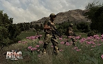 ꡼ No.006Υͥ / ARMA2פΥɥ󷿳ĥѥå2ơARMA2 쥤ե ܸޥ˥奢 Ѹǡס41ȯ䡣Ϥȿð