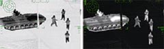 ꡼ No.025Υͥ / ARMA2פΥɥ󷿳ĥѥå2ơARMA2 쥤ե ܸޥ˥奢 Ѹǡס41ȯ䡣Ϥȿð