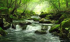 ���������꡼ No.016�Υ���ͥ������ / �ޡ��٥饹���󥿡��ƥ����ȡ�3DS���ѥ����ȥ��Fish Eyes 3D�פ�2011ǯ6��23����ȯ�䡣3DΩ�λ�ǡ�����˥����ʥߥå��ˤʤä���꤬�ڤ����