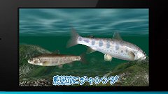 画像ギャラリー No.005のサムネイル画像 / 「Fish Eyes 3D」公式サイトオープン。プロモーションムービーが公開に
