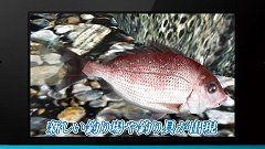 画像ギャラリー No.006のサムネイル画像 / 「Fish Eyes 3D」公式サイトオープン。プロモーションムービーが公開に