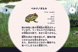 ꡼ No.011Υͥ / GhMiPhoneѥFROG MINUTESפˤϡñʤͷ³ʤ̥Ϥ