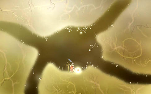 ꡼ No.003Υͥ / ۤ狼Ȥݥȡåɥ٥㡼Botaniculaפȯɽ