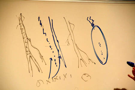 ꡼ No.006Υͥ / CEDEC 2011ϥ˥ȳͼԤΥեȤ˥ɥХå֥˥ΥեȡΥեȡץݡ