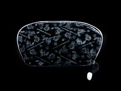 ���������꡼ No.002�Υ���ͥ������ / �֥����롼¼G�פΥ��å��դ����ҡ����ϥ�������롼¼��Ϣ��CD���о�