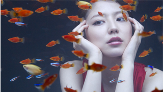 画像ギャラリー No.050のサムネイル画像 / 注目作「FINAL FANTASY 零式」体験版は明日リリース。ゲームアーカイブスも内容充実,PlayStation Storeの8月10日付け最新情報