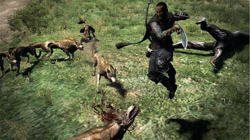 ꡼ No.014Υͥ / E3 2011ΥθܤФȤϽ륫ץʡDragon's Dogmaץץ쥤ݡȡʢࡼӡɲá