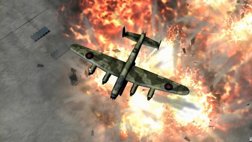 ꡼ No.004Υͥ / ֥Сܸǡס415ȯꡣ饤󥳥Хåȥե饤ȥWarBirdsפΥ󥰥ץ쥤С