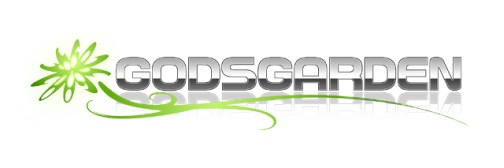 ꡼ No.002Υͥ / Υȥåץץ쥤䡼ã˽롣GODSGARDEN X CAPCOM IV AE 饤йס1021ŷ