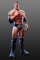 ꡼ No.010Υͥ / WWE All StarsפPS32011ǯ7ܤȯ䡣Ķ30̾Υѡ쥸ɤо