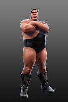 ꡼ No.013Υͥ / WWE All StarsפPS32011ǯ7ܤȯ䡣Ķ30̾Υѡ쥸ɤо