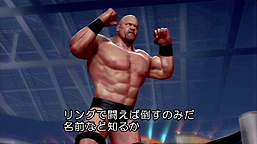 ꡼ No.011Υͥ / ȯWWE All Starsסȡ󡦥ΡCMѥؤΥǥդɥȥࡼӡӥ饯ᥤǤξ