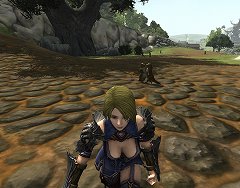 ꡼ No.041Υͥ / ȥʸMMORPG֥֥󥽥륺פƥȥץ쥤ʰʤȥʴΥॷƥ