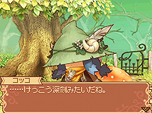 ���������꡼ No.013�Υ���ͥ������ / NDS�֥Ρ���ȹ�ι�˼ ̸�ο�������פ�����ȯ�䡣�о쥭��饯����ã�䡤�Ȥ������ߡɤ򤽤��륳�쥯��������ǡֿ޴աפξܺپ��󤬸�����