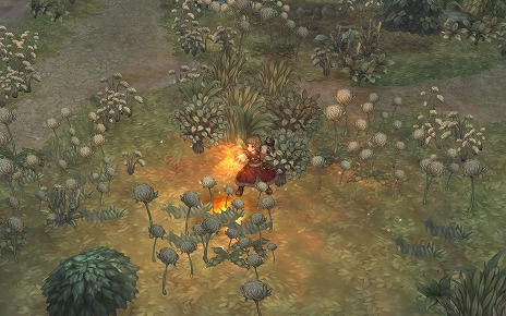 ���������꡼ No.010�Υ���ͥ������ / ��Tree of Savior Japan�פ��緿���åץǡ��Ȥ������������ߤɤ������ǰ���٥�ȡȤߤɤꡦ���֡������������ɤ�����